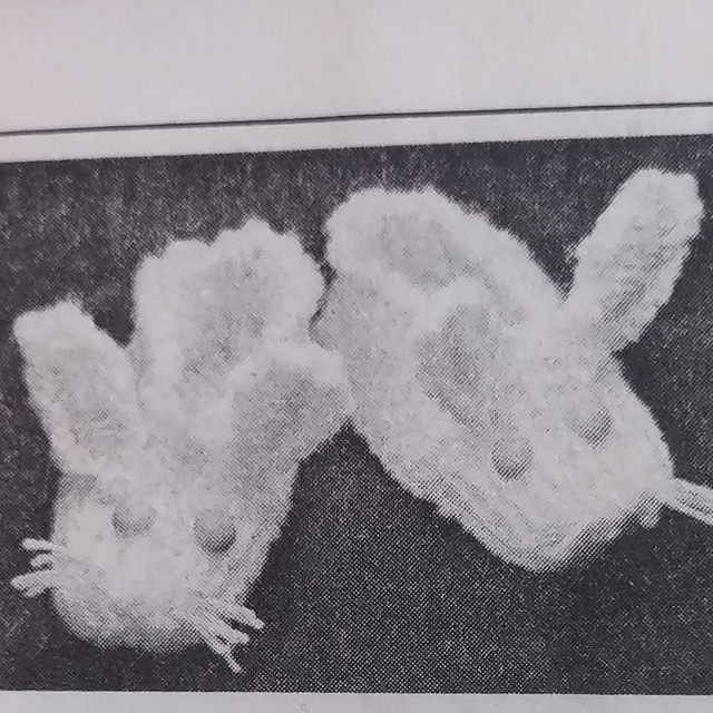 Bunny Slippers