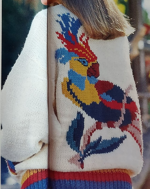 Parrot Jacket