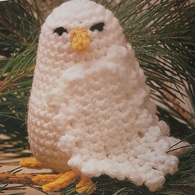 Baby Snowy Owl