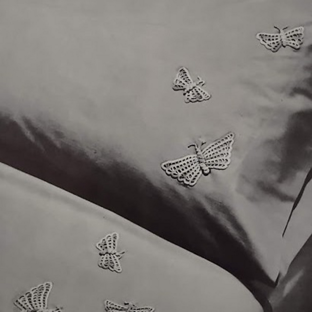 Tropical Butterflies A-387