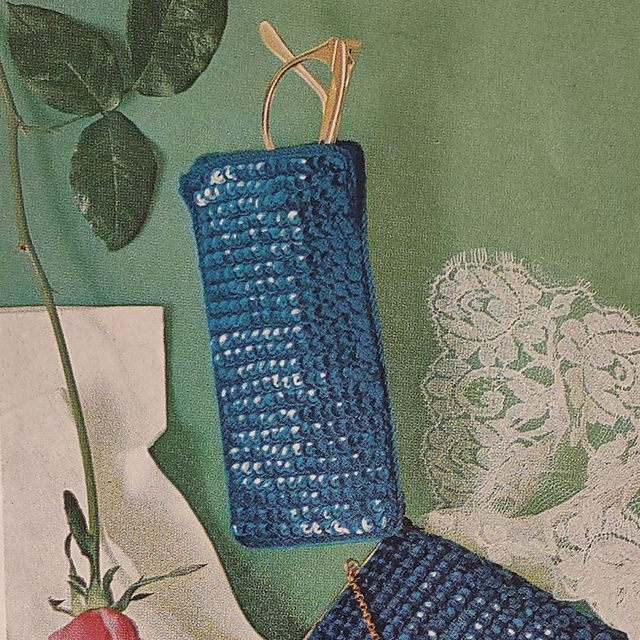 Sequin Eyeglass Case