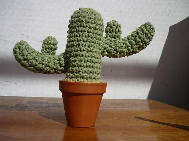Cactus