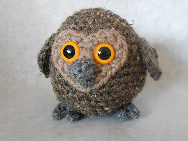 Baby Owl
