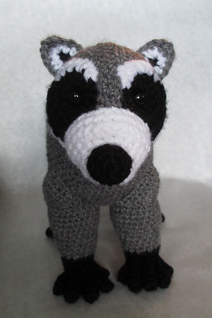 Raccoon