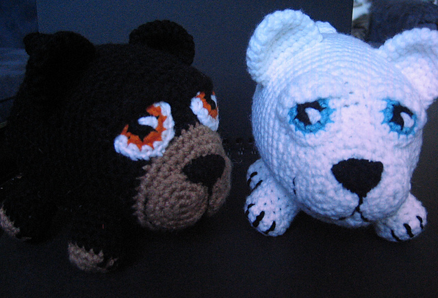 Sleepy Black Bear/ Polar Bear