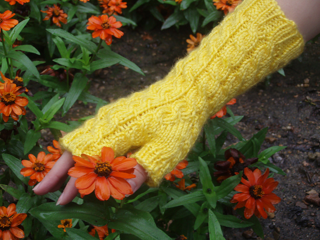 Shannon's Fingerless Gloves