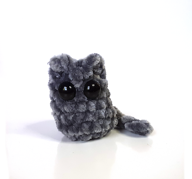Fluffy Little Halloween Cat