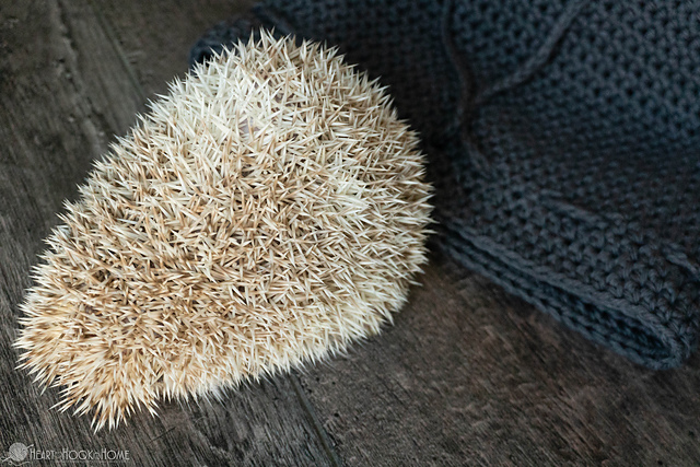 Hedgehog Pouch