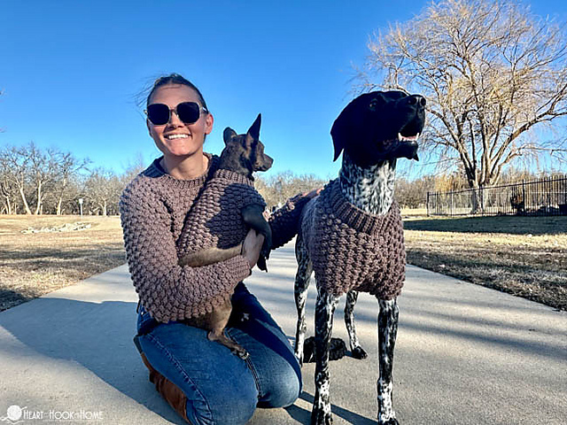 Wild Berry Dog Sweater
