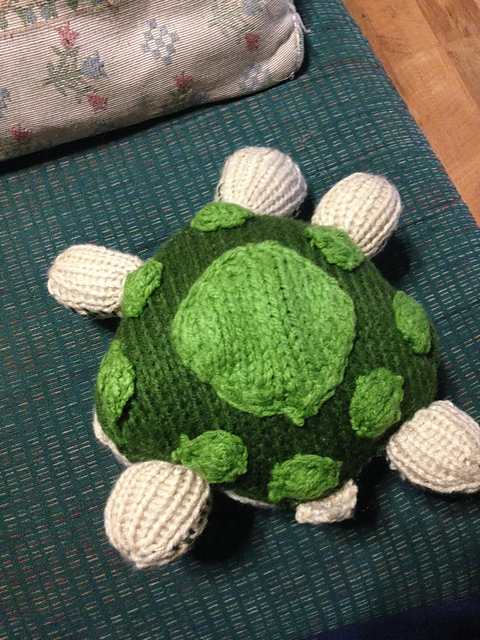 Tammy's Turtle