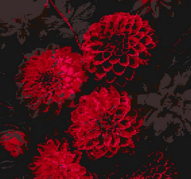 Red & Black Flowers Blanket