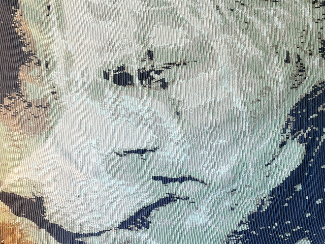 The Witcher Lap Blanket
