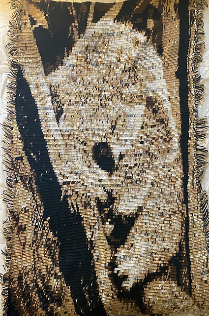 Sleepy Koala Graphgan Lap Blanket