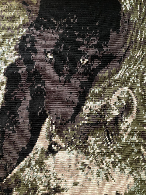 Wolf Pair Graphgan Lap Blanket