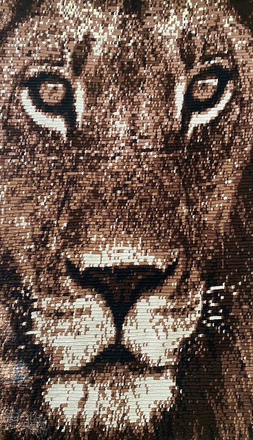 Lion Graphgan Lap Blanket