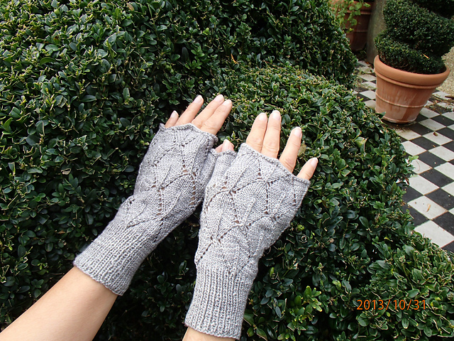 Hoya Bella Fingerless Gloves and Cowl