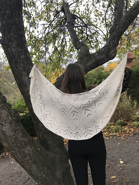Winterday shawl