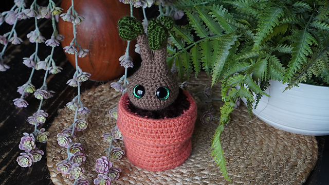Plant Pot