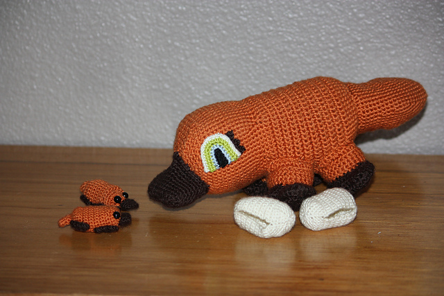 Portia the Pregnant Platypus