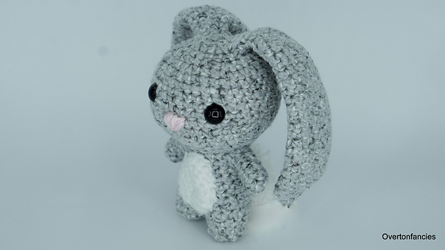 Fluffy, the Grey Bunny
