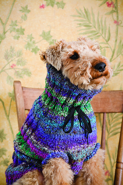 Dog Sweater