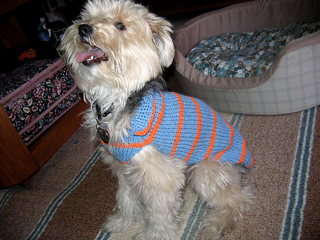 Polo shirt