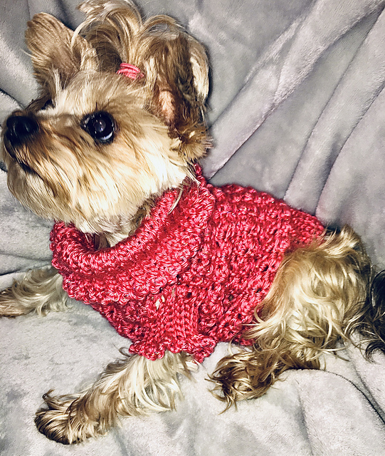 Textured Cozy Dog & Cat Sweater