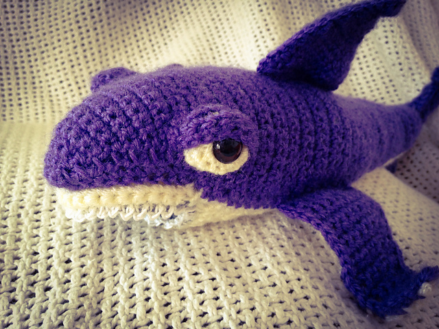 Shark - Hai Hai-no