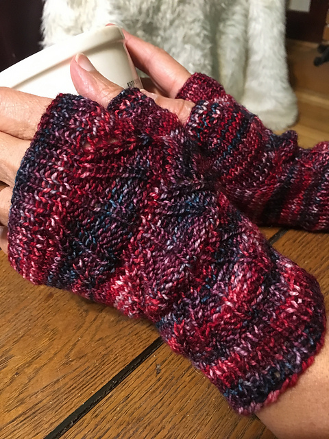 Bear Claw Mitts