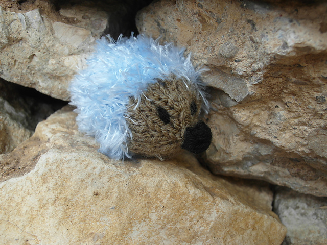 Arctic Hedgehog