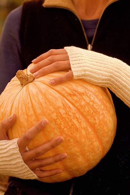 Coco Mitts