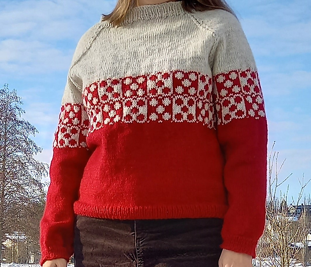 Sweater Femgangen