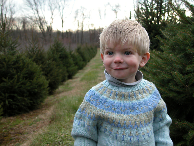 Andy Sweater