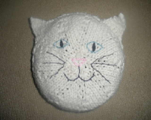 Kitty Face on a Flat Circle