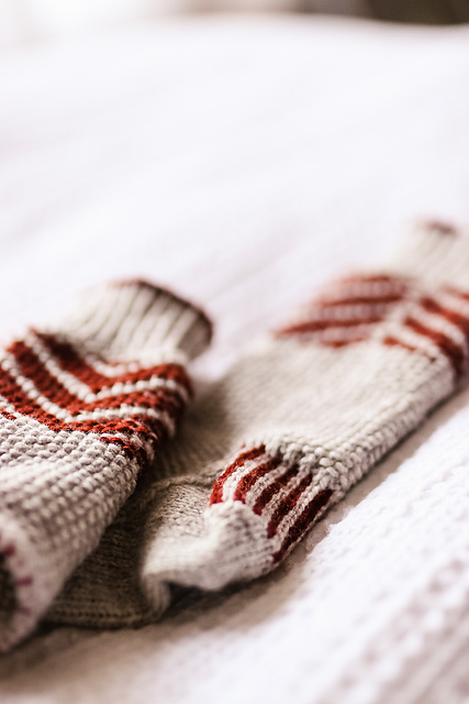 Gingersnap Socks