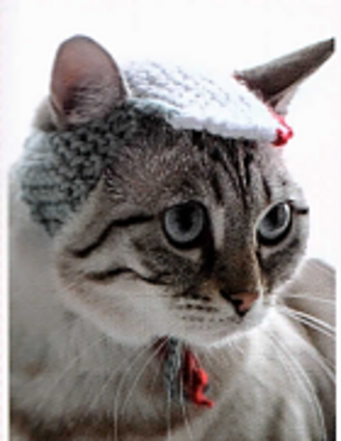 Sports Cap