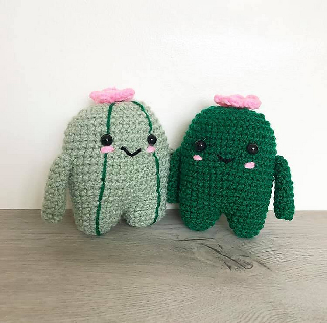 Points McGee Cactus