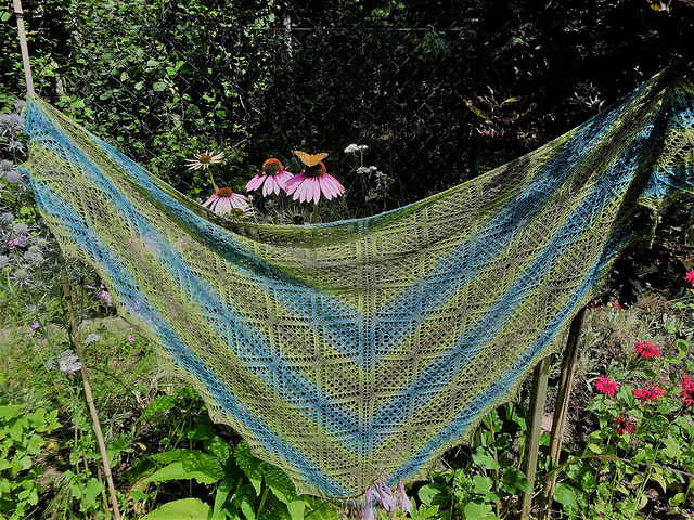 Alinne Shawl