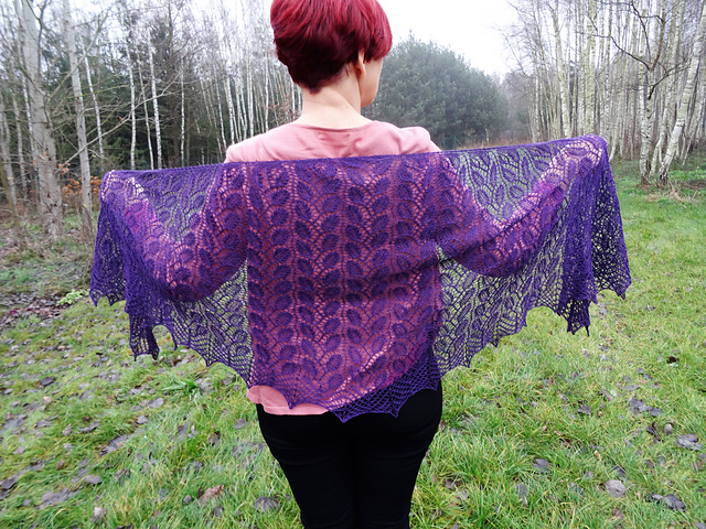 Amonaria  Shawl