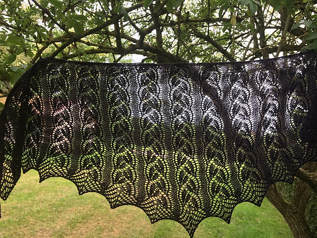 Abir Shawl