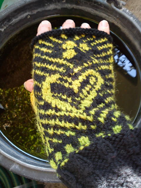 Heart in glove