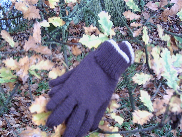 Green and Blue Finger Gloves