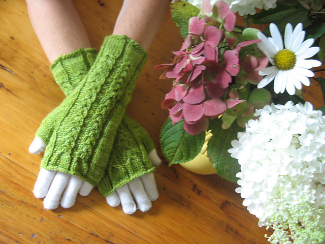 Green Apple/Blueberry Mitts