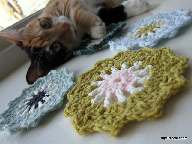 Pretty Coaster