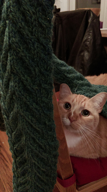 Staghorn Cable Scarf
