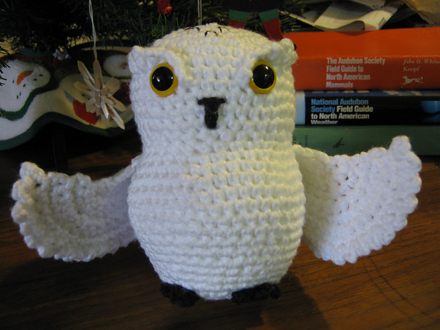Bubo Owl
