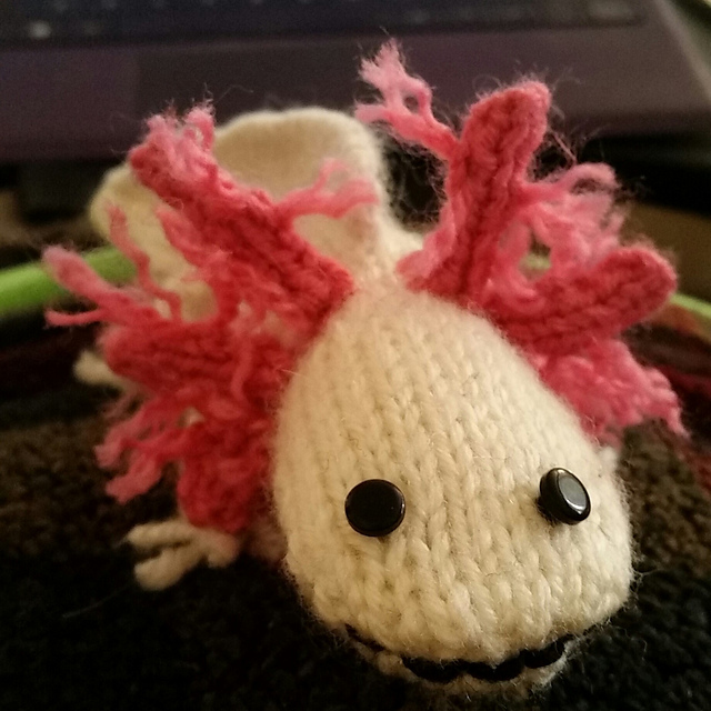 Axolotl