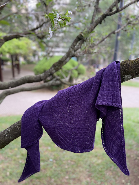 Costanera Shawl
