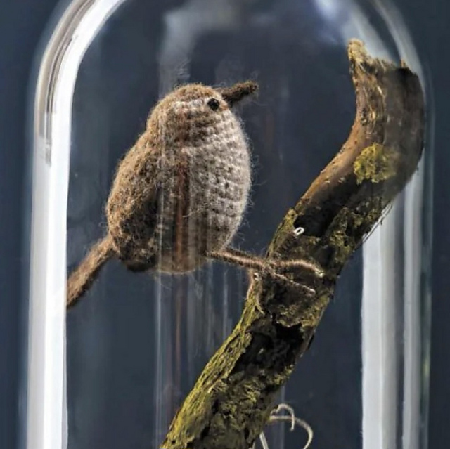 Wren