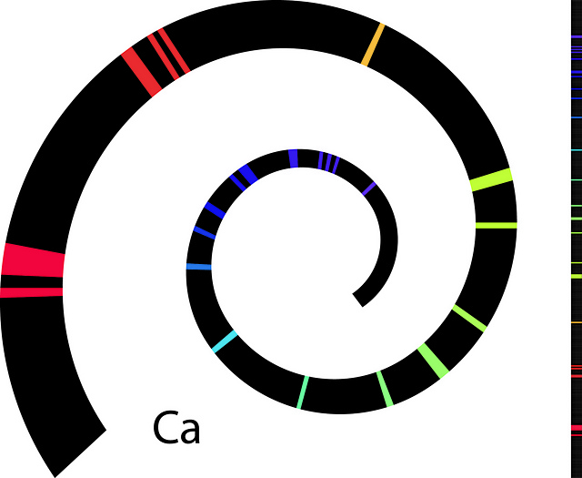 Calcium Spectrum Scarf